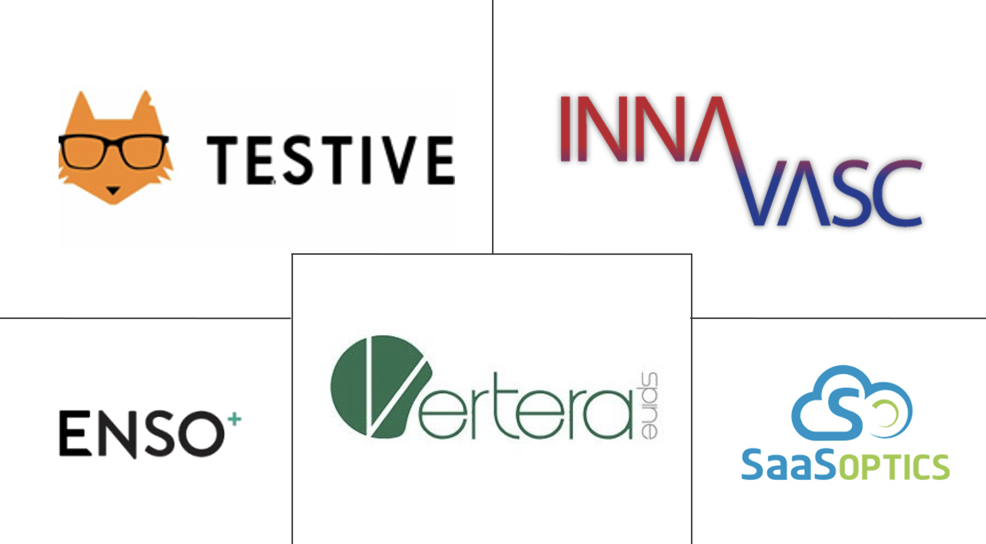 Grid pattern of Testive, InnAVasc, ENSO, Vertera, and SaaS Optics logos