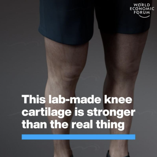 Screenshot from WEF Instagram post. Shows a knee and writing: This lab-made knee cartilage is stronger than the real thing.