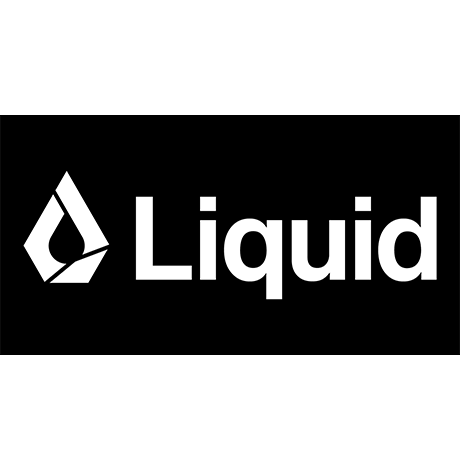 liquid ai portfolio logo